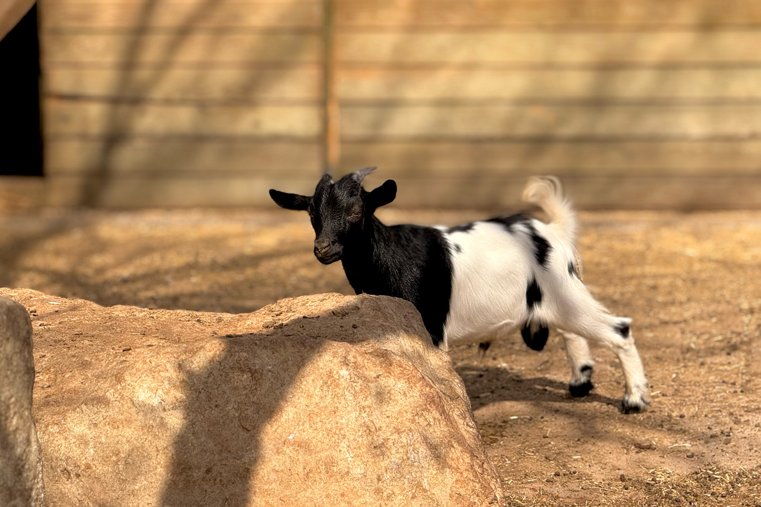 Bigadiç Termal Taş Evleri